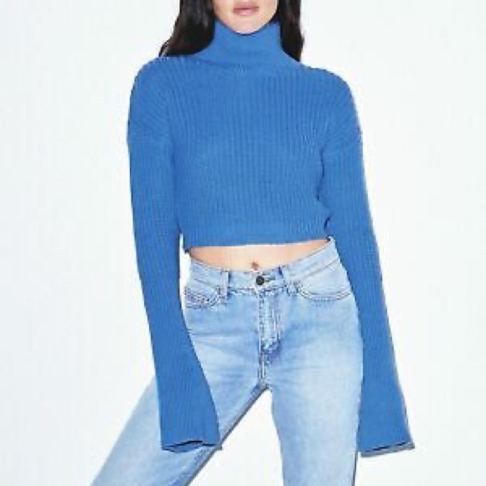 American Apparel cropped fisherman turtleneck sweater